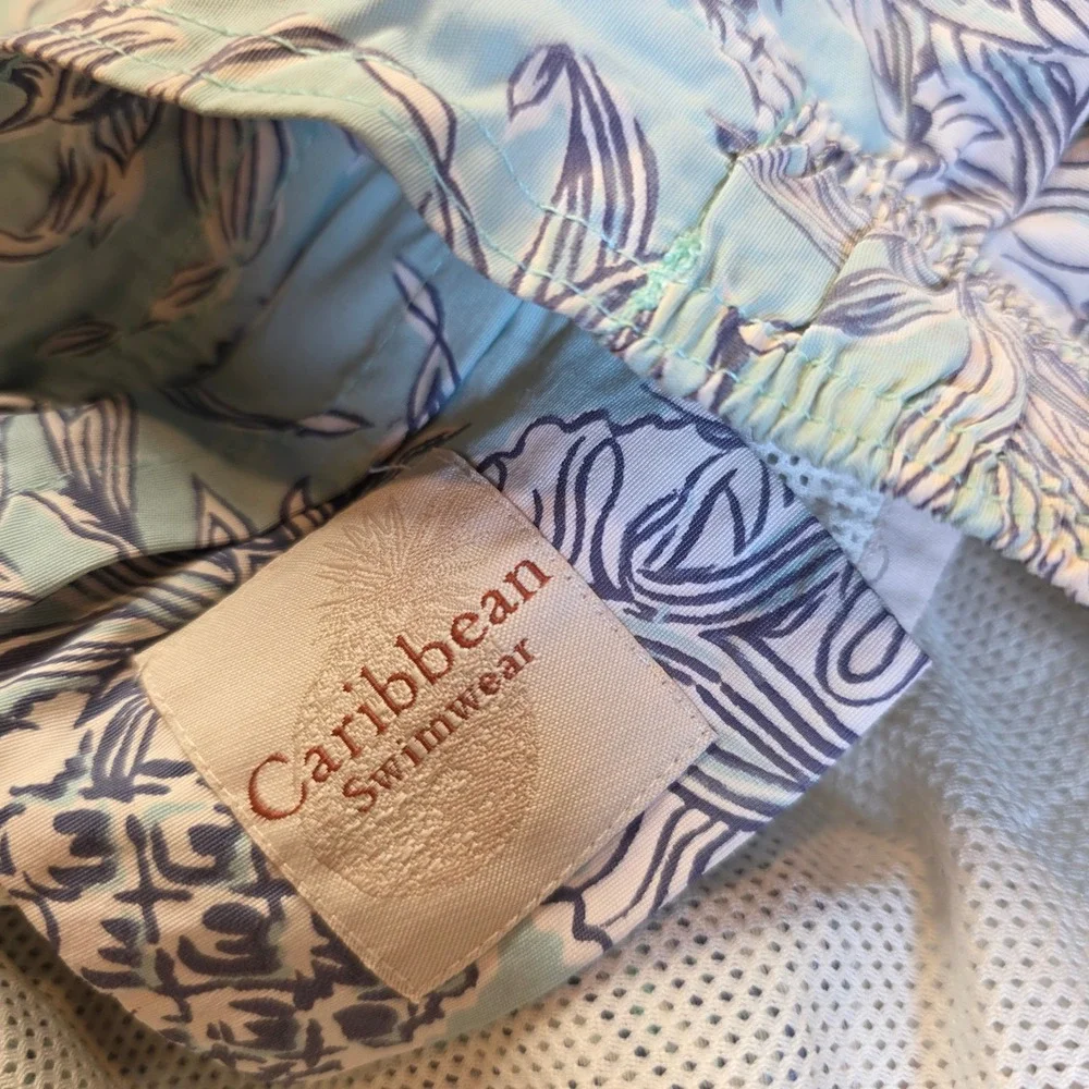 Caribbean Swimwear Men Large Blue Pineapple Print Cargo Board Shorts Swim Trunks
